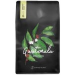 Coffee Plant Kávová rostlina Guatemala Maková semínka zrnková 250 g – Hledejceny.cz