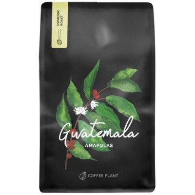 Coffee Plant Kávová rostlina Guatemala Maková semínka zrnková 250 g – Hledejceny.cz