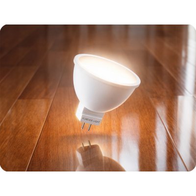 Forever Light LED žiarovka GU5,3 2,5W 250LM 12V MR16 studená bílá – Hledejceny.cz
