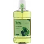 Ecodenta Mouthwash Multifunctional multifunkční 500 ml – Zboží Dáma