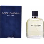 Dolce & Gabbana toaletní voda pánská 125 ml – Hledejceny.cz