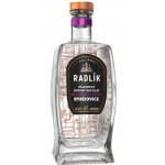 Radlík Rybízovice 43% 0,5 l (holá láhev) – Sleviste.cz