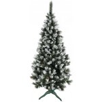 zanapo.cz Borovice Dziki diamond 220 cm – Hledejceny.cz