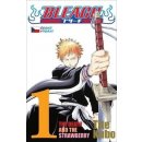 Bleach 1: the Death and the Strawberry - Tite Kubo