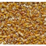 ZS Dynín Kukuřice krmná zrno 25 kg – Zboží Dáma