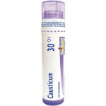 CAUSTICUM POR 30CH GRA 1X4G – Hledejceny.cz
