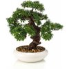 Květina Umělý Bonsai Ficus v misce, 37cm