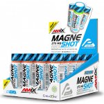 Amix Performance MagneShot Forte 375 mg 20 x 60 ml – Hledejceny.cz