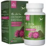 Pokusa RAW DietLine Thistle Extract 120 tablet – Hledejceny.cz