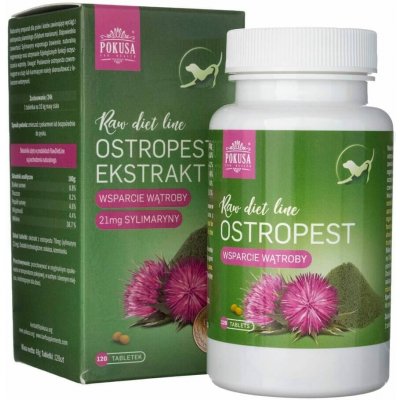 Pokusa RAW DietLine Thistle Extract 120 tablet – Hledejceny.cz