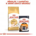 Royal Canin Sphynx Adult 400 g – Zboží Mobilmania