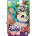 Hasbro Fur Real Friends Walkalots malá kočka – Hledejceny.cz