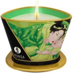 Shunga Massage Candle Green Tea 170 ml – Zbozi.Blesk.cz