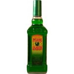 Pisang Ambon 17% 0,7 l (holá láhev) – Zboží Dáma