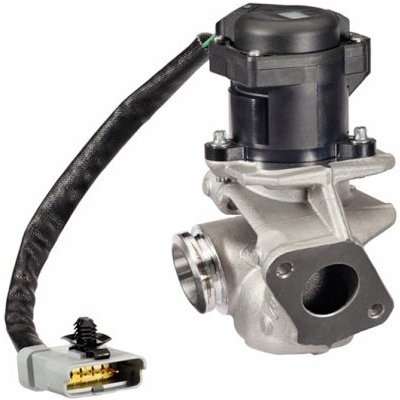 AGR-Ventil HELLA 6NU 010 171-131 – Hledejceny.cz