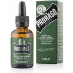 Proraso Eukalyptus olej na vousy 30 ml – Hledejceny.cz