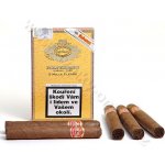 PARTAGAS MILLE FLEURS 5 ks – Zboží Dáma