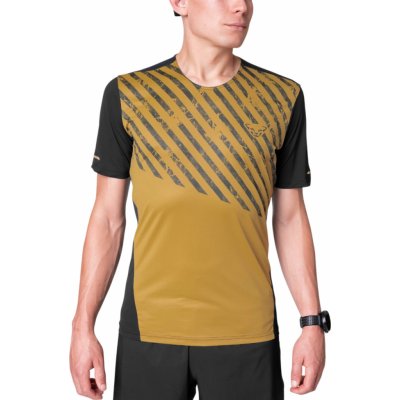 Dynafit Triko ALPINE 2 S/S TEE Man – Zboží Mobilmania