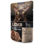 Leonardo jehněčí a extra trhané hovězí 70 g – Sleviste.cz