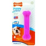 Nylabone Puppy Teething Dental Chew XS – Zboží Dáma