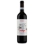 Damoli Vini Valpolicella classico superiore Ripasso "Giago" 2019 14% 1,5 l (holá láhev) – Hledejceny.cz