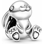 Pandora 798763C00 – Sleviste.cz