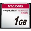 Paměťová karta Transcend 1 GB TS1GCF220I