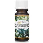 Saloos esenciální olej Pomeranč červený 50 ml – Zboží Dáma