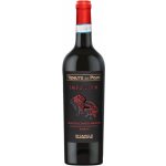 Di Camillo Tenute del Pojo Montepulciano d'Abruzzo Riserva 14,5% 0,75 l (holá láhev) – Hledejceny.cz