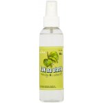 Alpa lak na vlasy lípa 150 ml – Zboží Dáma