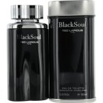 Ted Lapidus Black Soul toaletní voda pánská 100 ml – Hledejceny.cz