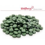 Wolfberry Bio Spirulina 250 g – Hledejceny.cz