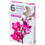 Admit Tea Lights Orchid 6 ks – Sleviste.cz