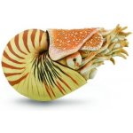 Collecta Loděnka hlubinná – Zbozi.Blesk.cz