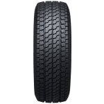 Nexen N'Blue 4Season Van 205/65 R15 102/100T – Hledejceny.cz