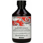 Davines Naturaltech Energizing Shampoo 250 ml – Zboží Dáma