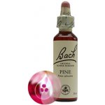 Bachovy květové esence Borovice lesní Pine 20 ml – Hledejceny.cz