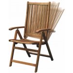 Fieldmann CALYPSO-T – Sleviste.cz