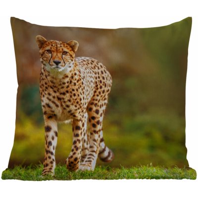 MuchoWow Vnější polštář Živá příroda Tráva Leopard Příroda 50x50 – Zboží Mobilmania