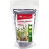 Osivo a semínko Zdravý den Zdravý Den Brokolice Raab BIO semena na klíčení 200 g