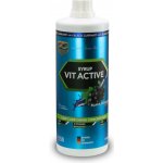 Z Konzept Vit Active Syrup Low Carb 1000 ml – Hledejceny.cz