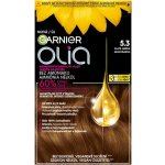 Garnier Olia 5.3 zlatá hnědá barva na vlasy – Zboží Dáma