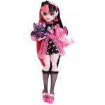 Mattel Monster High Draculaura Doll With Pink And Black Hair And Pet Bat – Zboží Mobilmania