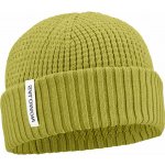 Salomon Docker Beanie LC2938900 cardamon seed – Hledejceny.cz