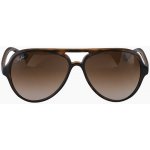 Ray-Ban RB4125 710 51 – Hledejceny.cz