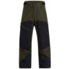 Pánské sportovní kalhoty Peak Performance Gravity 2L Gore-Tex pants forest night