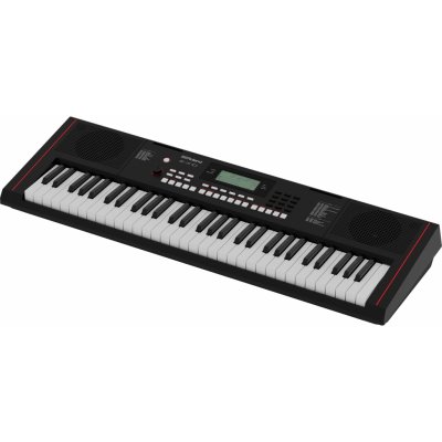 Roland E-X10 – Zboží Dáma