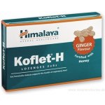 Himalaya Koflet H Ginger 12 pastilek – Hledejceny.cz