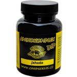 Carp Servis Václavík Aminokomplex Dip Jahoda 90 ml – Zboží Mobilmania
