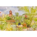 Gardena MDS AquaBloom Solární zavlažování L 13330-20 – Hledejceny.cz